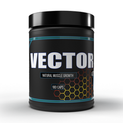 Vector 2